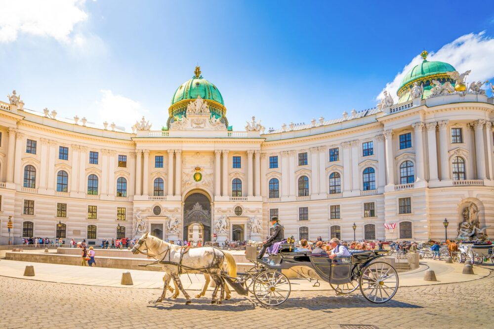 Vana Hofburg, Viin