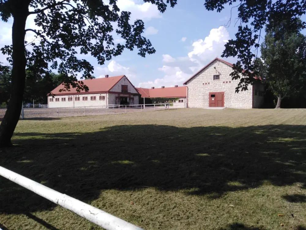 Araabia hobused Poolas