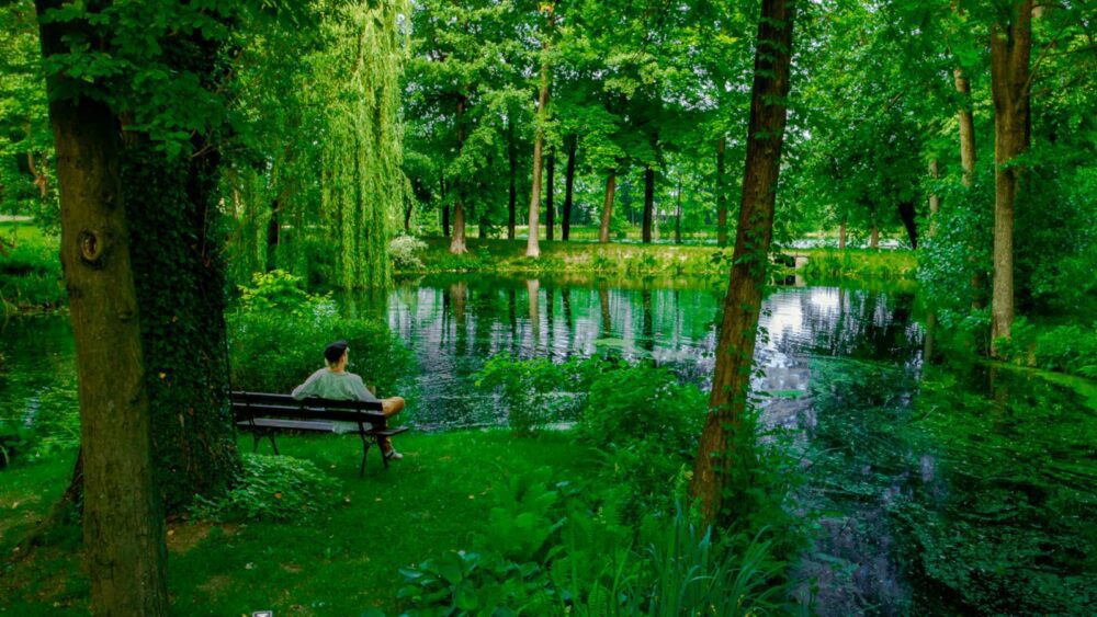 Manor House Park hotell