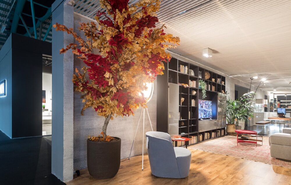 Kuidas Taimi Stabiliseerida Blogi