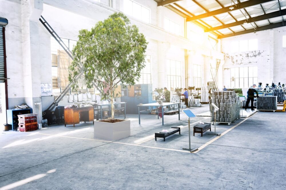 Kuidas Taimi Stabiliseerida