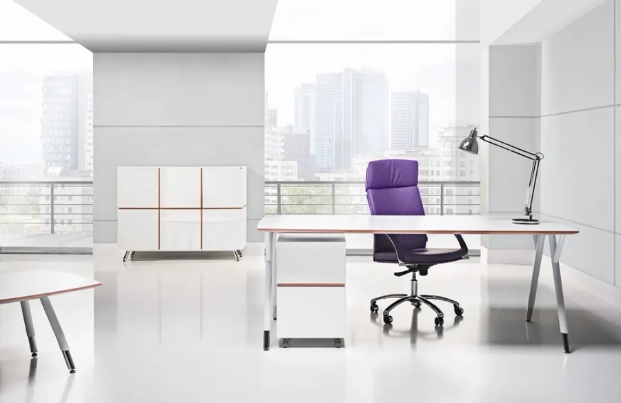 Luksuslik kirjutuslaud