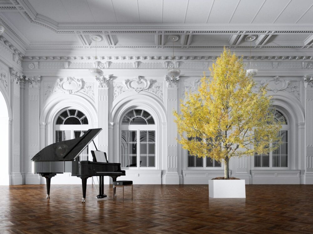 Stabiliseeritud taimed