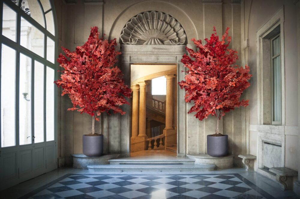 Mis on taimede stabiliseerimine