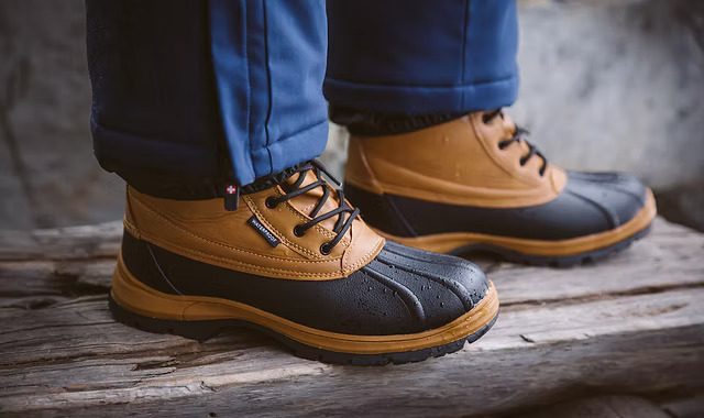 Vertigo Alpes Mis Ettevõte See On