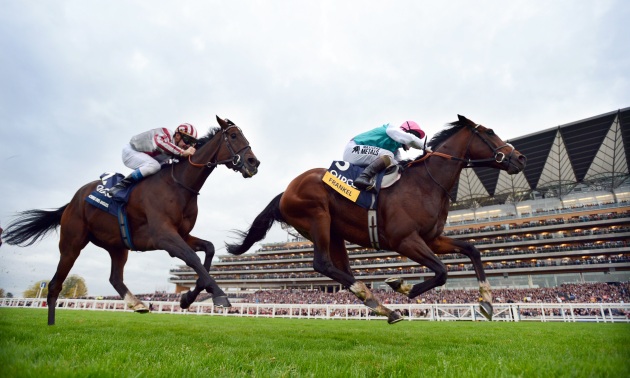 Frankel võidab Cirrus Des Aigles'i 20 10 12 Foto Bill Selwyn
