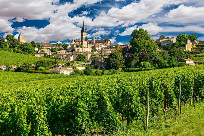 Bordeaux piirkonna veinivalmistaja