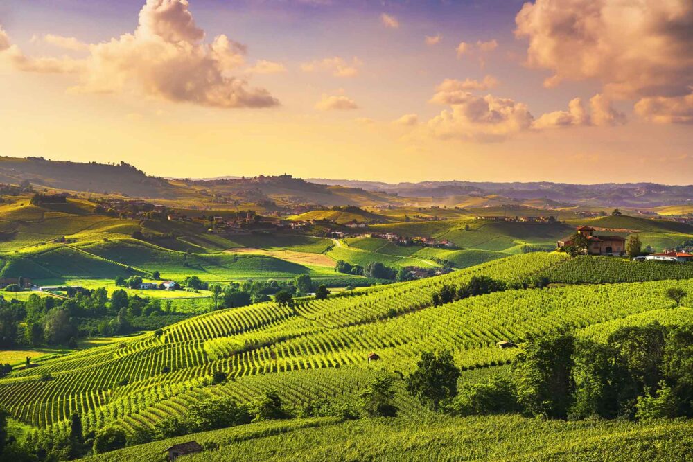 Langhe viinamarjaistanduste päikeseloojangu panoraam, Barolo, Piemonte, Itaalia, Euroopa