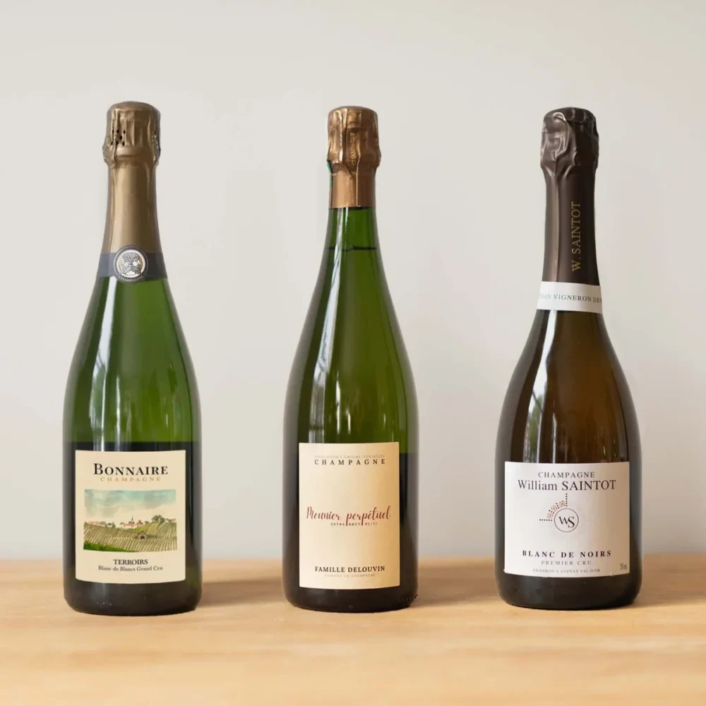 Blanc De Blancs vs Blanc De Noirs Erinevused